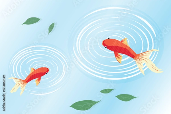 Fototapeta Two red goldfish swimming in a pond with ripples and floating leaves against a light blue background