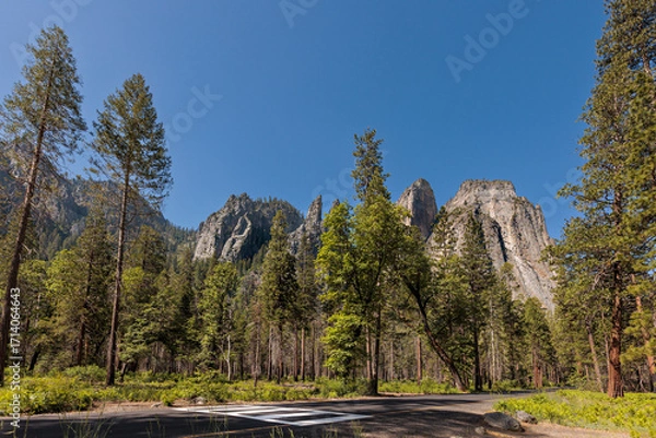 Fototapeta Cathedral Rocks in Yosemite National Park tower above a pedestrian crossing on Southside Drive near the Cathedral Beach picnic area.