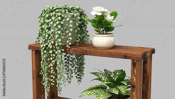 Fototapeta Indoor plants on a rustic wooden shelf with a grey background