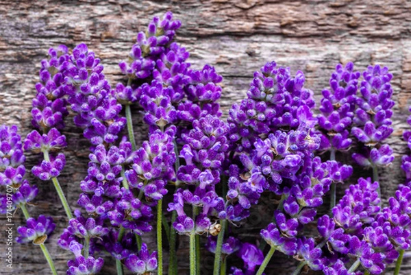 Fototapeta Background with lavender, pattern with flowers on wooden surface, top view, closeup