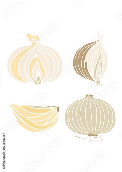 Fototapeta Onion vector logo isolated on white background. Line art icons set vector illustration. Hand drawn outline whole onion bulb with leaf and peel, cut into half and slices, rings and pieces, raw food 