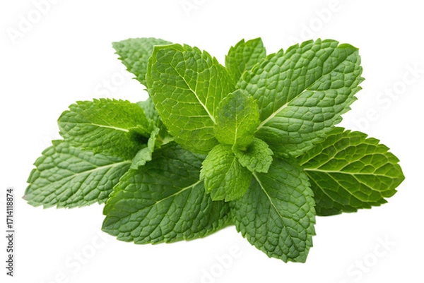 Fototapeta Fresh mint leaves close-up on white background, showcasing vibrant green color and refreshing qualities for culinary use and herbal remedies