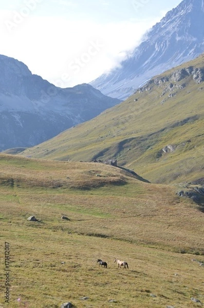 Fototapeta  Au départ de Termignon et de Bellecombe,  l'Entre deux eaux, Parc National de la Vanoise, Alpes Françaises
