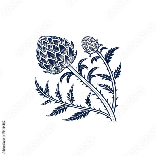 Fototapeta Stylized artichoke flower with bud and thorny leaves in dark blue