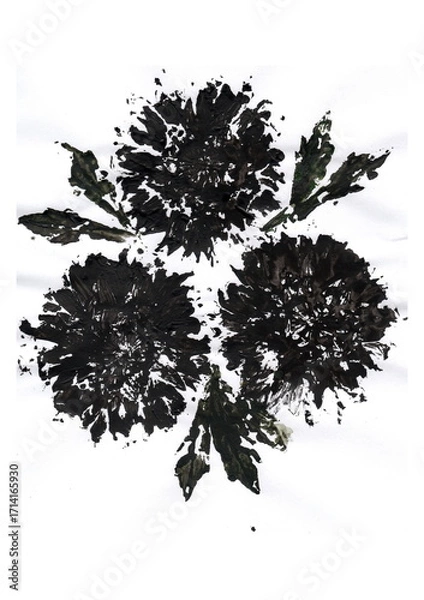 Fototapeta An artistic composition of three large black flowers with wide petals, reminiscent of asters or dahlias. The leaves are dark green and arranged around the inflorescences.