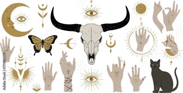Fototapeta Illustration Mystical Celestial Elements with Buffalo Skull Moon Butterfly and Hands