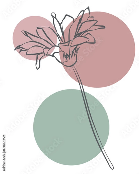 Fototapeta Elegant flower line sketch combined with abstract pastel tones, trendy artwork