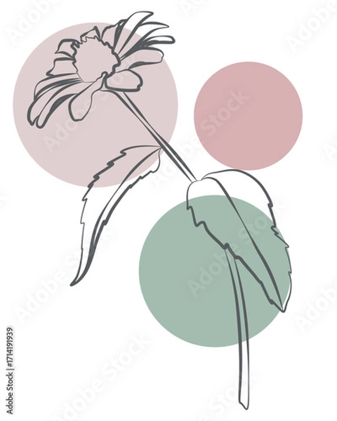 Fototapeta Minimalist botanical composition with floral outline and pastel abstract background