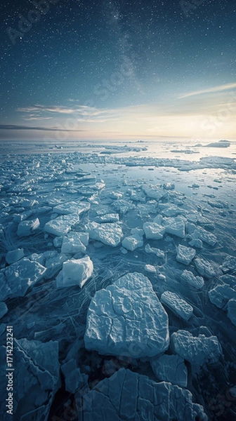 Fototapeta 流氷の静寂に包まれた夜空