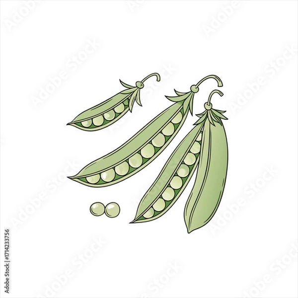 Obraz Fresh green peas in pods with loose peas on white background