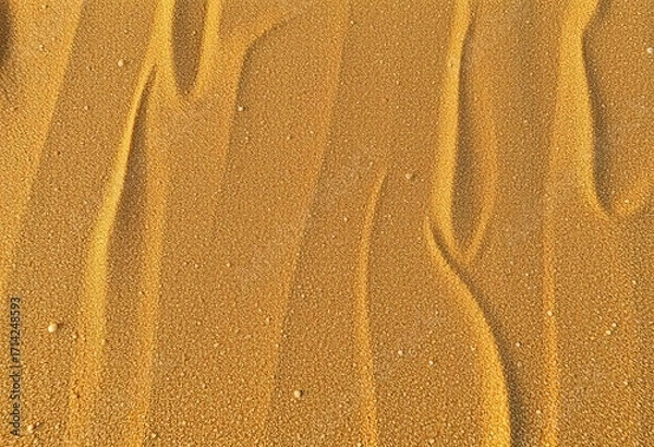 Fototapeta Fine, dry sand grains, warm golden hue, uneven texture, slight ripple patterns, landscape, beach sand