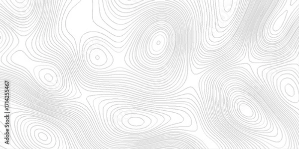 Fototapeta geography scheme and the terrain path, blank detailed topographic patter line map background, white wave paper curved reliefs abstract, panorama view gradient multicolor wave curve lines banner.