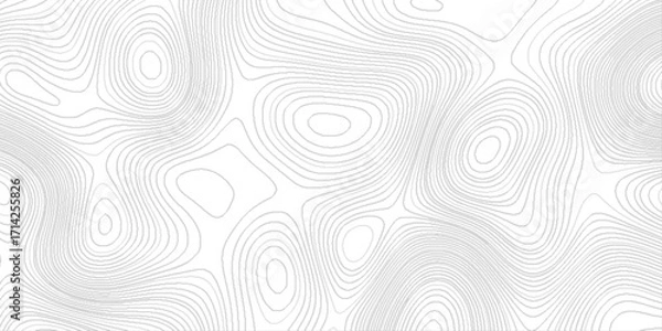Fototapeta geography scheme and the terrain path, blank detailed topographic patter line map background, white wave paper curved reliefs abstract, panorama view gradient multicolor wave curve lines banner.