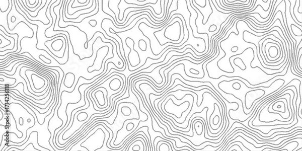 Fototapeta geography scheme and the terrain path, blank detailed topographic patter line map background, white wave paper curved reliefs abstract, panorama view gradient multicolor wave curve lines banner.