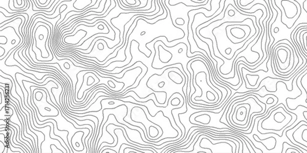 Fototapeta geography scheme and the terrain path, blank detailed topographic patter line map background, white wave paper curved reliefs abstract, panorama view gradient multicolor wave curve lines banner.