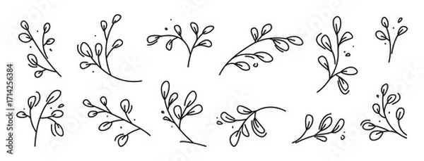Fototapeta Linear Branch and Leaves. Floral Design Elements, hand drawn sketch for greeting cards, invitations, wedding, birthday. Vector with Editable stroke