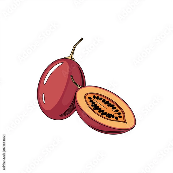 Obraz Illustration of a whole tamarillo fruit and a halved tamarillo fruit