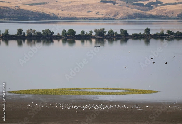 Fototapeta View of a large water pool with perched birds, space, sky and an island in the water