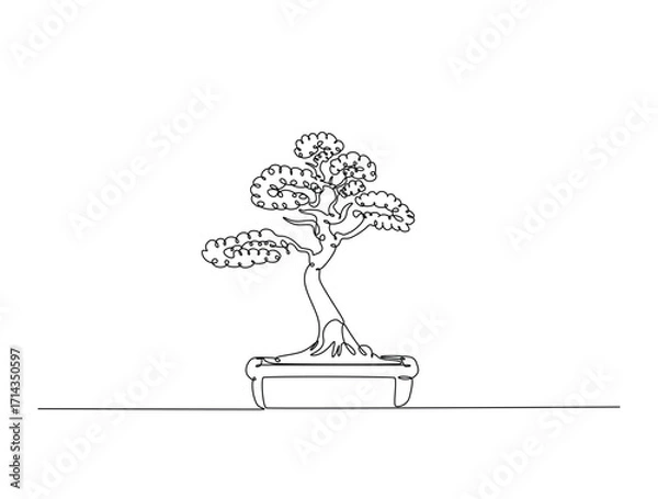 Fototapeta Continuous line art drawing of small bonsai tree. Bonsai tree in single line art drawing vector illustration. Editable stroke.