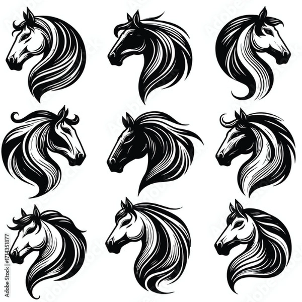 Fototapeta  Vector image set of black and white horse heads