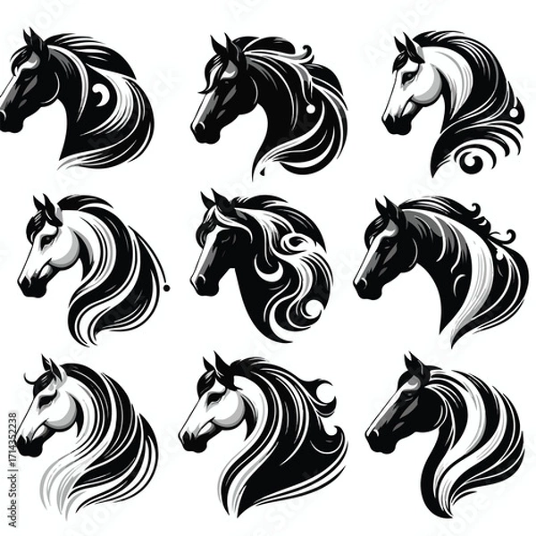 Fototapeta  Vector image set of black and white horse heads