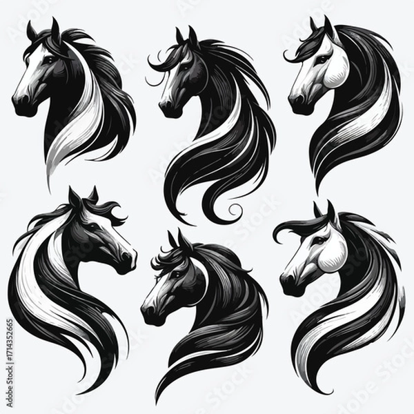 Fototapeta  Vector image set of black and white horse heads