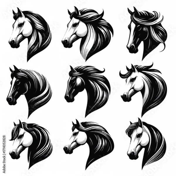 Fototapeta  Vector image set of black and white horse heads