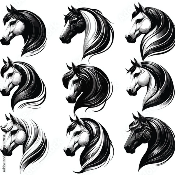 Fototapeta  Vector image set of black and white horse heads
