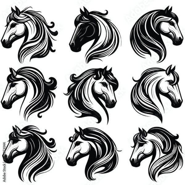 Fototapeta  Vector image set of black and white horse heads