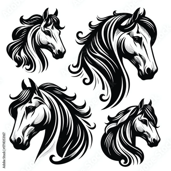 Fototapeta  Vector image set of black and white horse heads