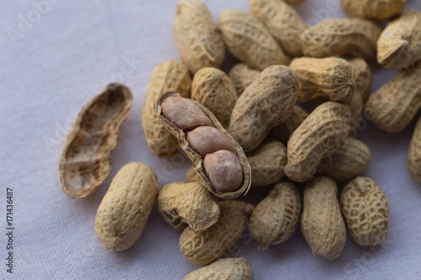 Obraz Closeup peanut on white background