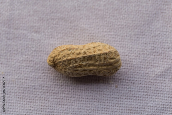 Obraz Closeup isolated peanut on white background