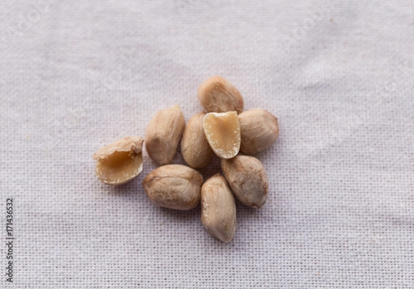 Obraz Closeup isolated peanut bean on white background