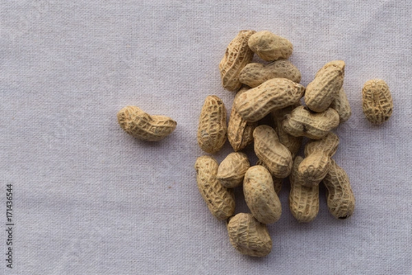 Obraz Closeup peanut on white background