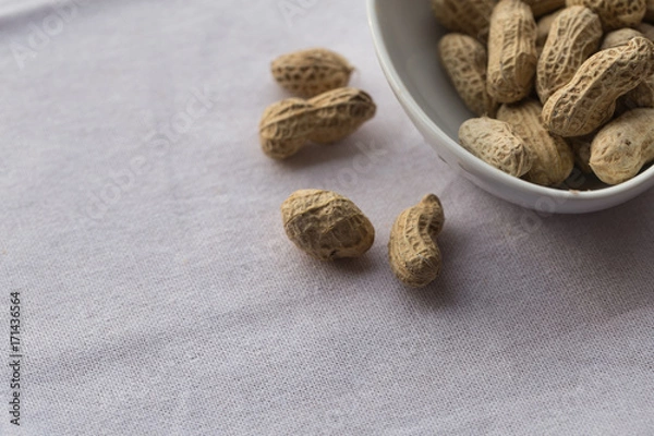 Obraz Closeup peanut on white background