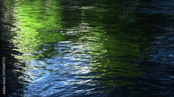 Fototapeta Water surface reflection of trees