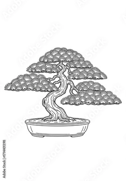 Fototapeta Japanese Bonsai Tree Line Art Illustration