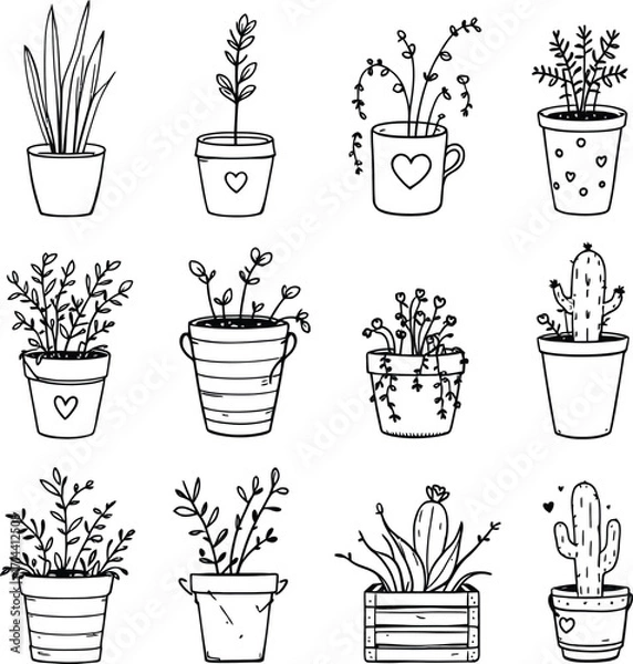 Obraz Hand drawn potted plants illustration vector set black and white minimalist line art design elements