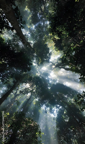 Fototapeta Sunlight Piercing Through Towering Trees in a Lush Green Forest Canopy Exploring the Majesty of Nature Tall Trees Reaching for the Sky in a Verdant Woodland Environment