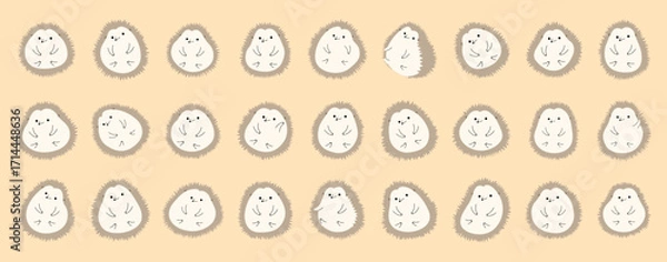 Fototapeta Hedgehog Collection cute on a orange background, vector illustration.