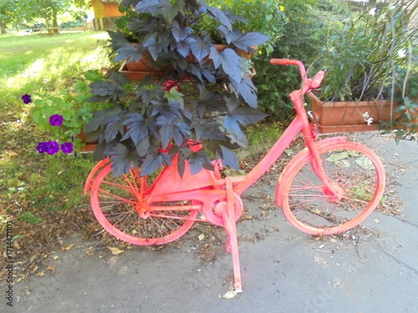Obraz bicycle and flowers
