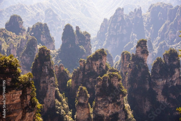 Obraz Avatar mountains in Zhangjiajie, China. Natural landmark and popular travel destination