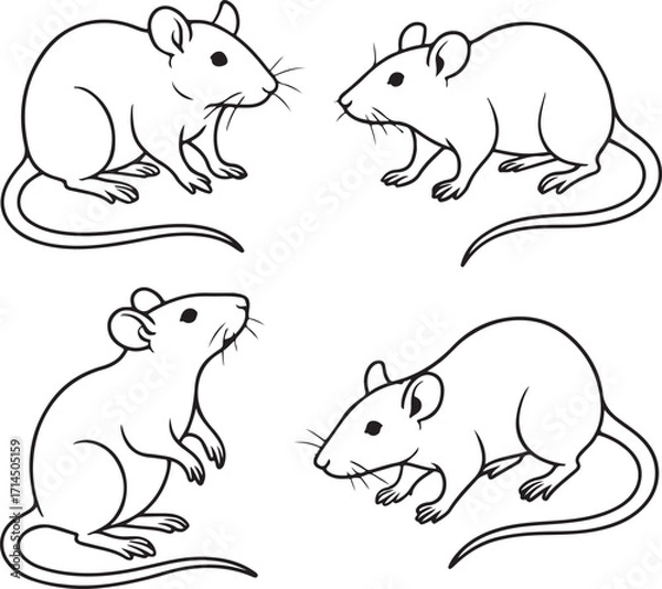 Obraz Line art rats