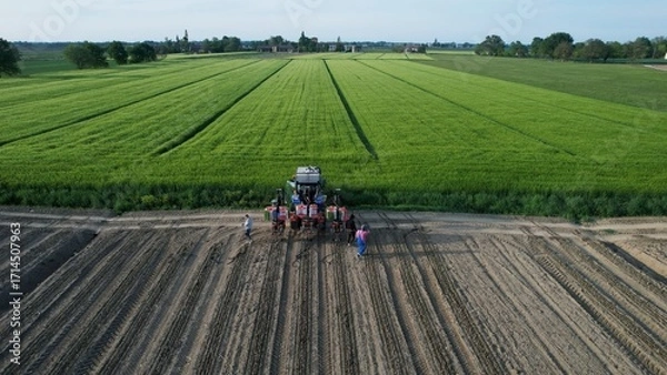 Fototapeta A group of farmers inspect a field of crops with a tractor in the background showcasing agricultural work and rural landscapes