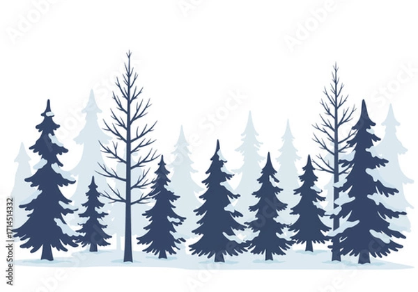 Fototapeta Winter forest scene with dark blue evergreens and lighter blue background trees against a white backdrop