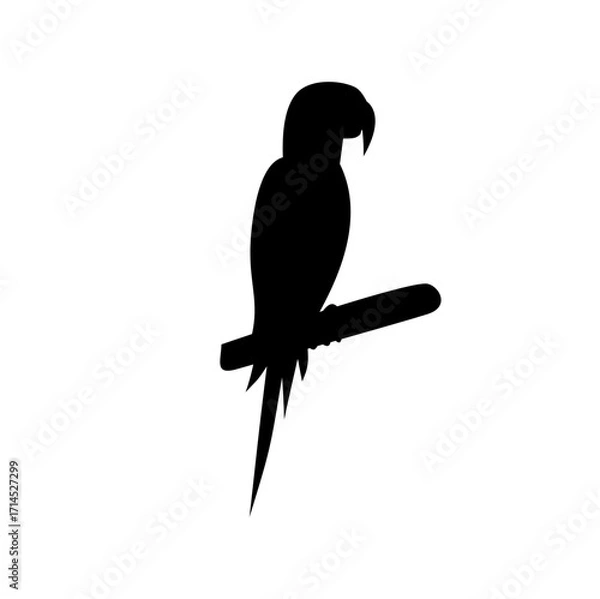 Obraz Silhouette of a Parrot 