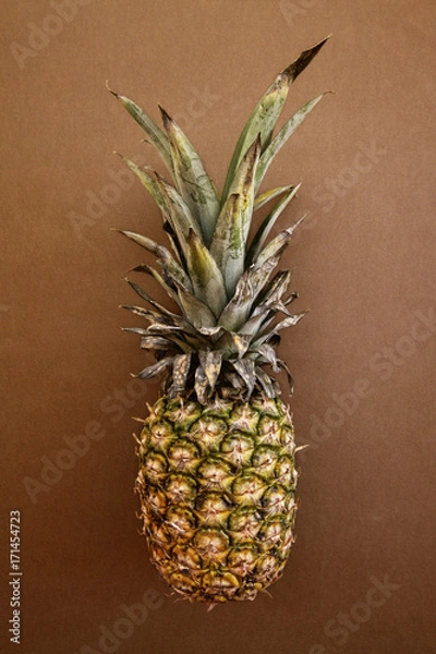 Obraz Pineapple