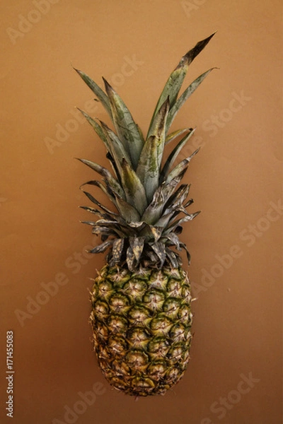 Obraz Pineapple