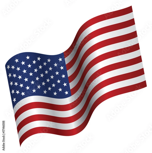 Obraz American Flag