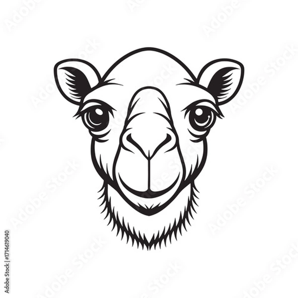 Obraz Camel head icon unique camel face silhouette on white background